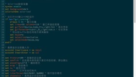 分享我的 VIM 配置信息